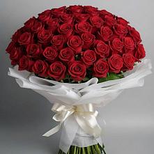 Букет 101 Красная роза Блэк Мэджик в Кировском