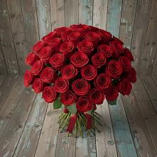 Букет 55 Красных роз Фридом #REPLACE_PRED# Кировском
