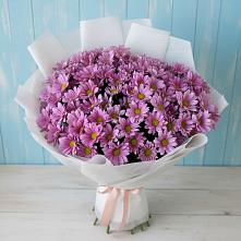Букет цветов из:  Хризантемы в Кировском