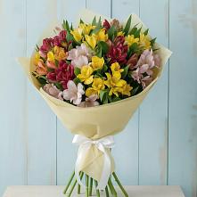 Букет цветов из:  Альстромерии #REPLACE_PRED# Кировском