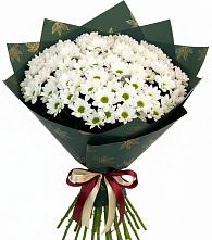 Букет цветов из:  Хризантемы #REPLACE_PRED# Кировском