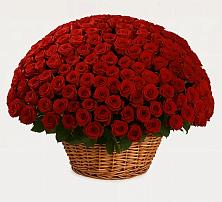 Премиум букет из: Розы в Кировском