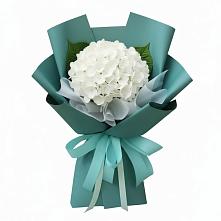 Букет цветов из:  Гортензия в Кировском